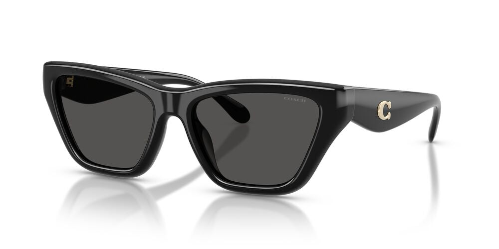 Aros De Sol Coach HC8449U Black