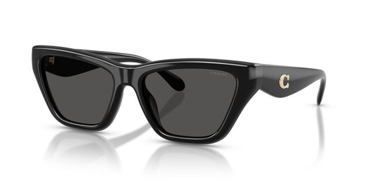 Aros De Sol Coach HC8449U Black