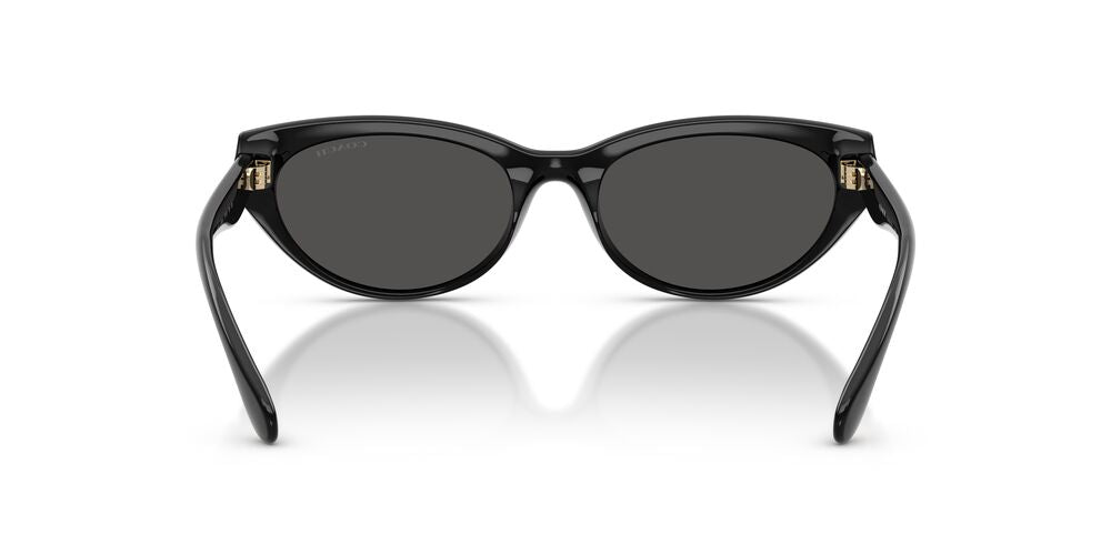 Aros De Sol Coach Hc8456D Black