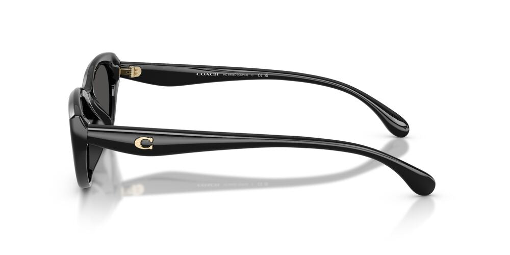 Aros De Sol Coach Hc8456D Black