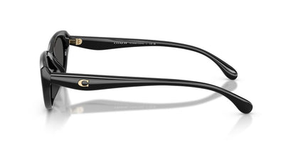 Aros De Sol Coach Hc8456D Black
