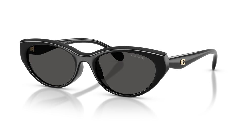 Aros De Sol Coach Hc8456D Black