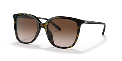 Aros De Sol Michael Kors Mk2137U Dark Tortoise
