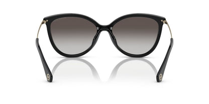 Aros De Sol Michael Kors Mk2184U Black