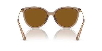 Aros De Sol Michael Kors Mk2184U Brown Transparent