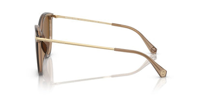 Aros De Sol Michael Kors Mk2184U Brown Transparent
