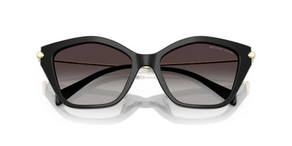 Aros De Sol Michael Kors Mk2246U Black