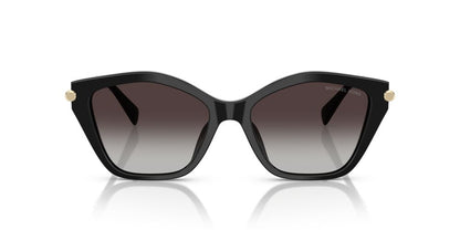 Aros De Sol Michael Kors Mk2246U Black