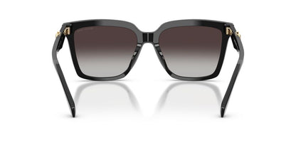 Aros De Sol Michael Kors MK2256U Black