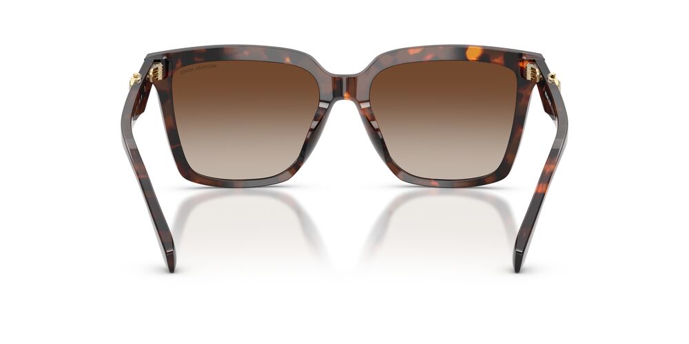 Aros De Sol Michael Kors MK2256U Luggage Tortoise