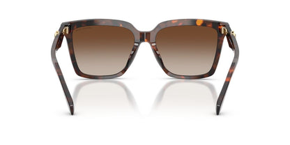 Aros De Sol Michael Kors MK2256U Luggage Tortoise