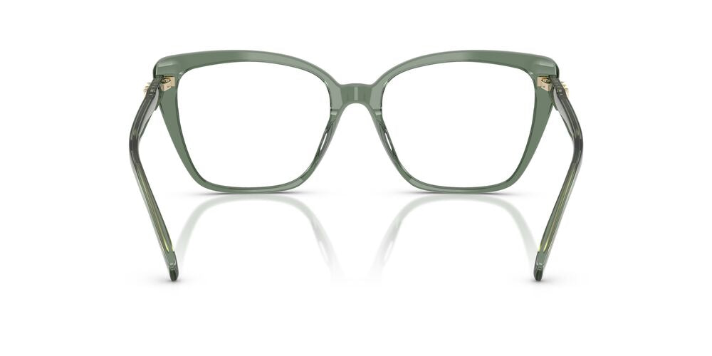 Aros Oftálmicos Michael Kors Mk4110U Smokey Olive Clear