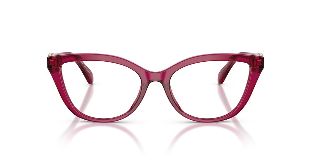 Aros Oftálmicos Michael Kors Mk4180U Carey