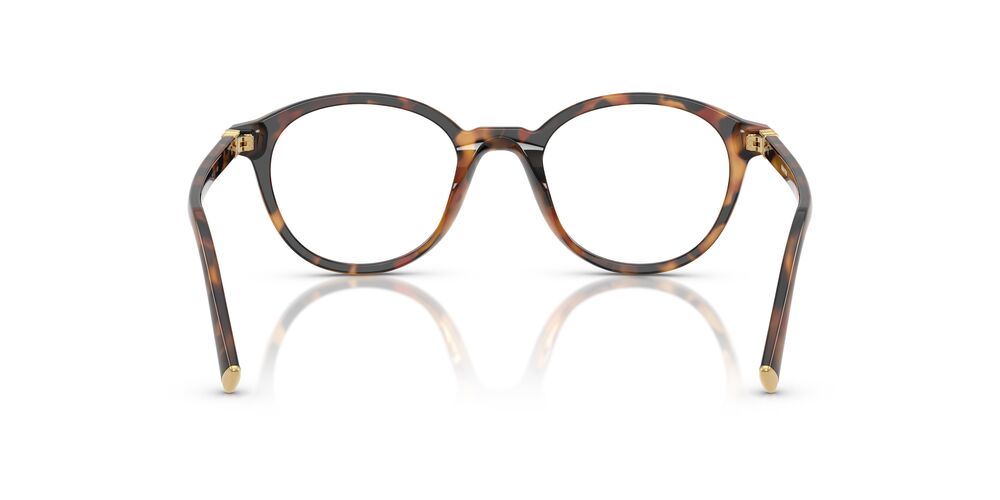 Aros Oftálmicos Miu Miu Mu02Wv Havana Ivy