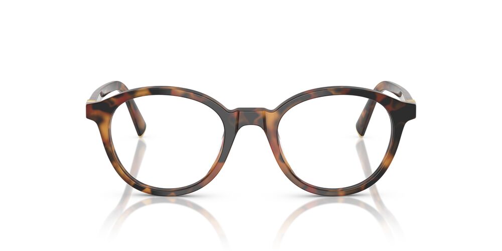 Aros Oftálmicos Miu Miu Mu02Wv Havana Ivy