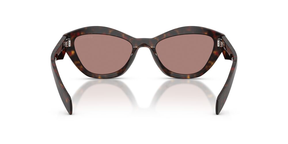 Aros De Sol Prada Pr A02S Root Tortoise
