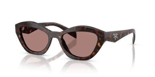 Aros De Sol Prada Pr A02S Root Tortoise