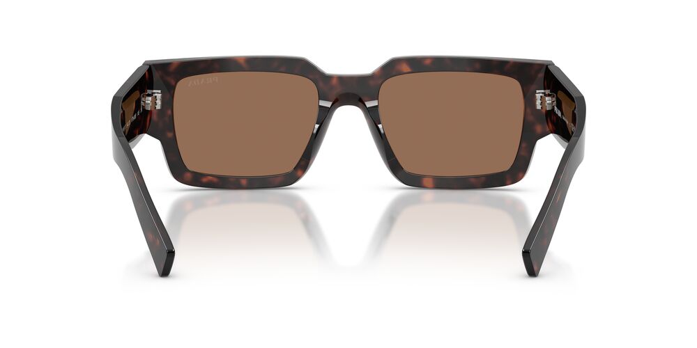 Aros De Sol Prada Pr B17S Root Tortoise