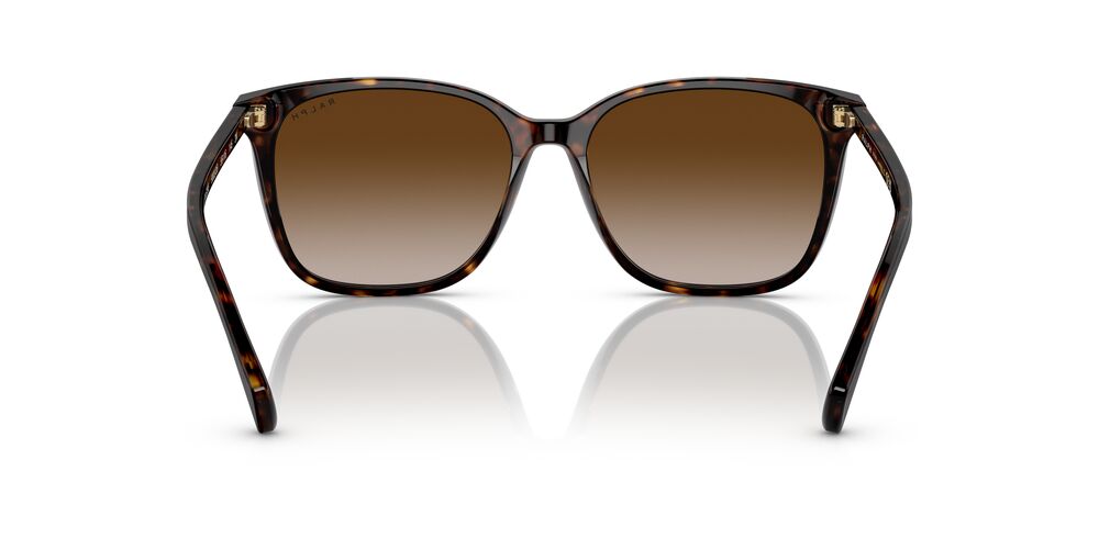 Aros De Sol Ralph Ra5293 Shiny Dark Havana