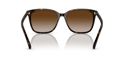 Aros De Sol Ralph Ra5293 Shiny Dark Havana