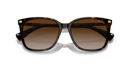 Aros De Sol Ralph Ra5293 Shiny Dark Havana