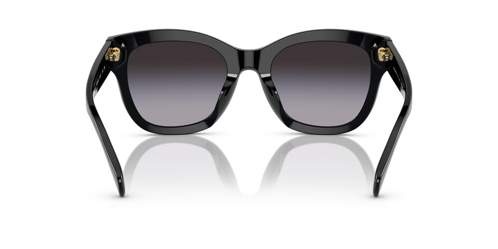 Aros De Sol Ralph Ra5301U Shiny Black