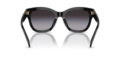 Aros De Sol Ralph Ra5301U Shiny Black