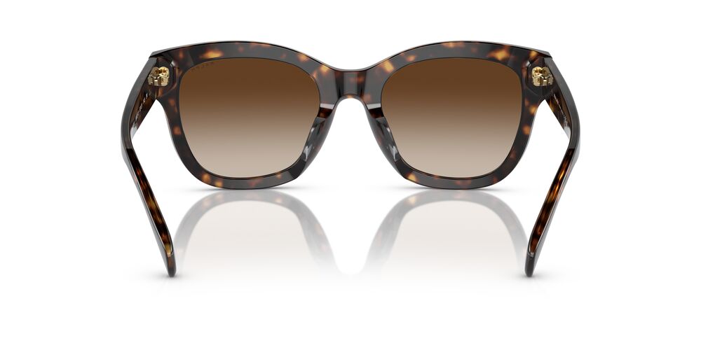 Aros De Sol Ralph Ra5301U Shiny Dark Havana