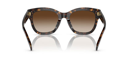 Aros De Sol Ralph Ra5301U Shiny Dark Havana