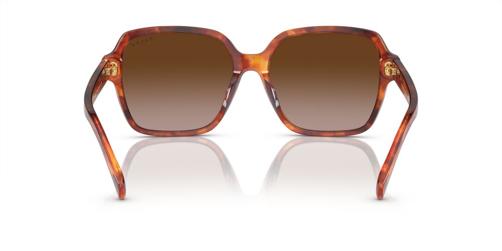 Aros De Sol Ralph Ra5304U Orange Havana