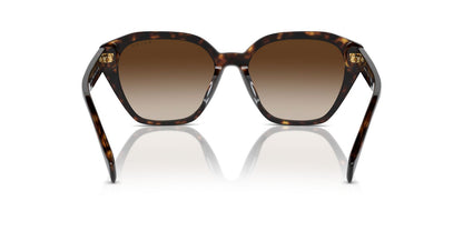 Aros De Sol Ralph Ra5315U Shiny Dark Havana