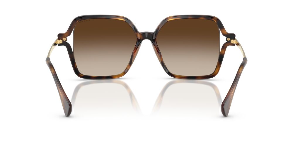 Aros De Sol Ralph Ra5319U Shiny Dark Havana