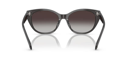 Aros De Sol Ralph Ra5324U Shiny Transparent Black