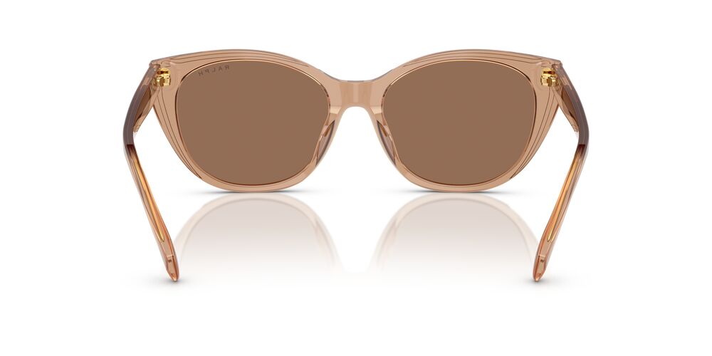 Aros De Sol Ralph Ra5324U Shiny Transparent Brown