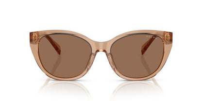 Aros De Sol Ralph Ra5324U Shiny Transparent Brown