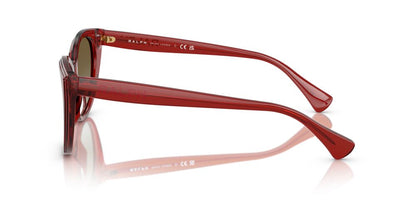 Aros De Sol Ralph Ra5324U Shiny Transparent Burgundy
