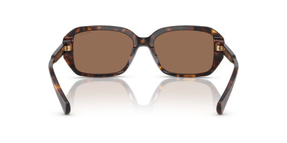 Aros De Sol Ralph Ra5325U Shiny Dark Havana