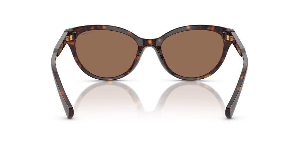 Aros De Sol Ralph Ra5326U Shiny Dark Havana