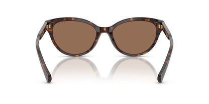 Aros De Sol Ralph Ra5326U Shiny Dark Havana