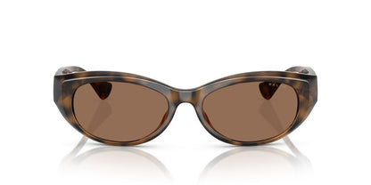 Aros De Sol Ralph Ra5327U Shiny Dark Havana