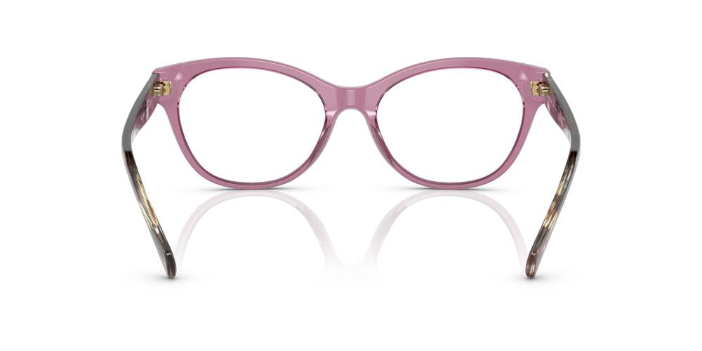 Aros Oftálmicos Ralph Ra7141 Carey