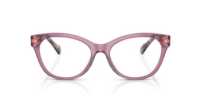 Aros Oftálmicos Ralph Ra7141 Carey