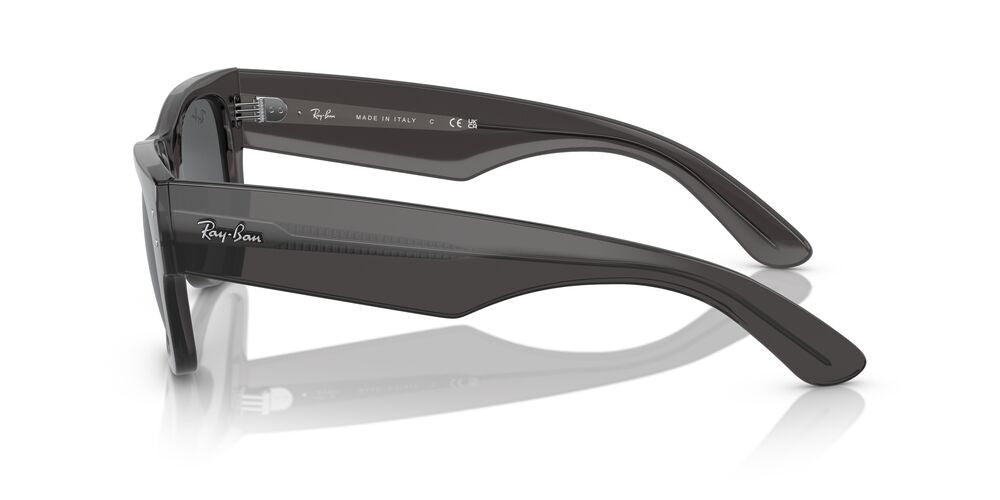 Aros De Sol Ray-Ban Rb0840S Transparent Black