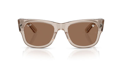 Aros De Sol Ray-Ban RB0840S Transparent Light Brown