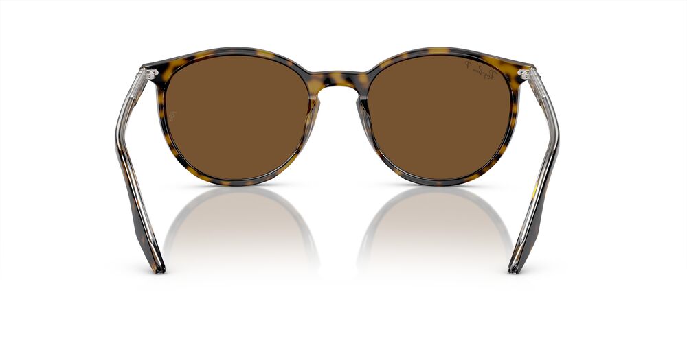 Aros De Sol Ray-Ban Rb2204 Havana On Transparent