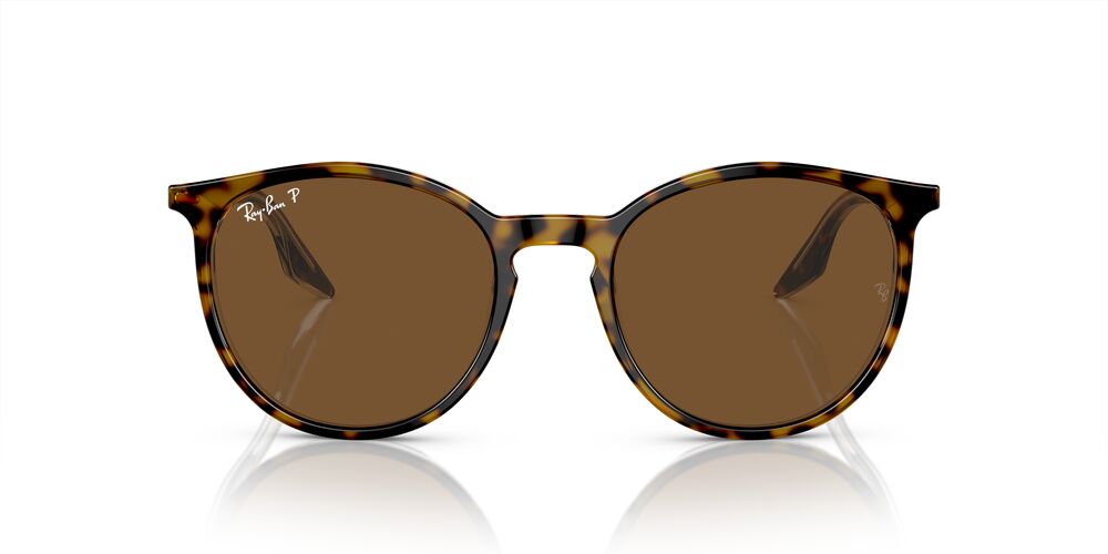 Aros De Sol Ray-Ban Rb2204 Havana On Transparent