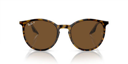 Aros De Sol Ray-Ban Rb2204 Havana On Transparent