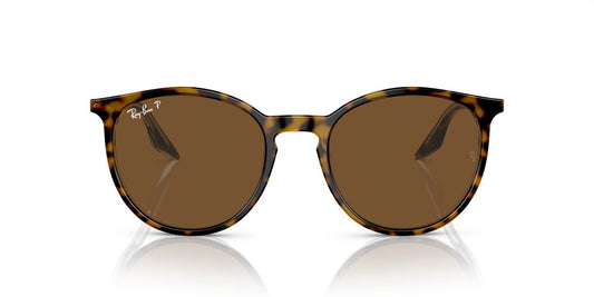 Aros De Sol Ray-Ban Rb2204 Havana On Transparent