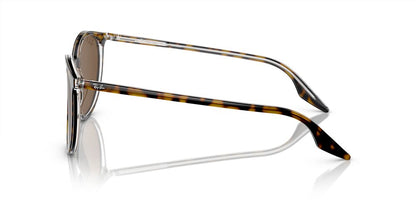 Aros De Sol Ray-Ban Rb2204 Havana On Transparent
