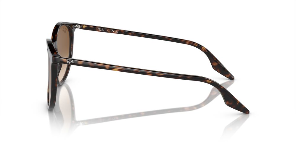 Aros De Sol Ray-Ban Rb2204 Havana
